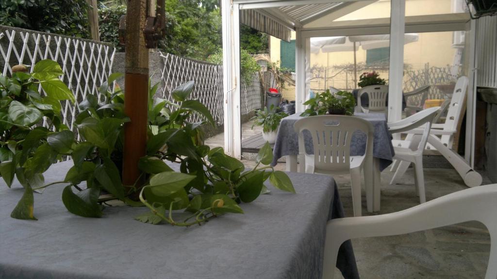 Le Conchiglie Hotel Levanto Exterior foto